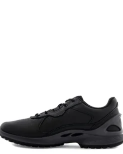 Ecco BIOM Energi W