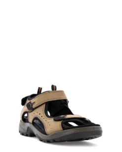 Ecco Offroad