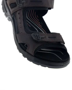 Ecco Offroad
