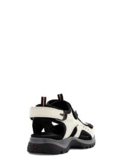 Ecco Offroad