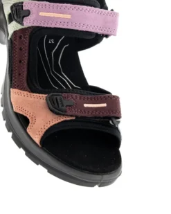 Ecco Offroad