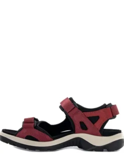 Ecco Offroad