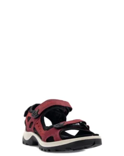 Ecco Offroad
