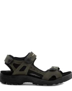 Ecco Offroad M