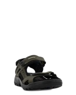 Ecco Offroad M