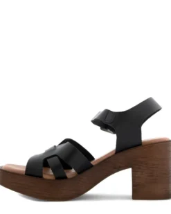 Foot News Olivio