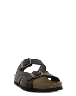 Scholl Moldava AD