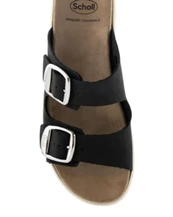 Scholl Scilla 2 Buckles