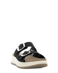 Scholl Scilla 2 Buckles
