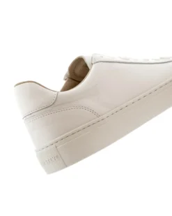 Sneaky Steve Grand W