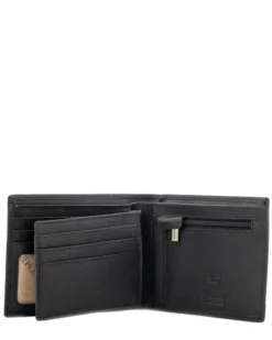 The Monte Dollar 2 in 1 medium