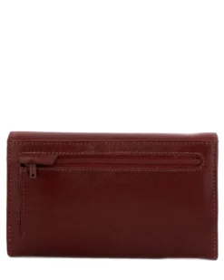 The Monte Frame purse large